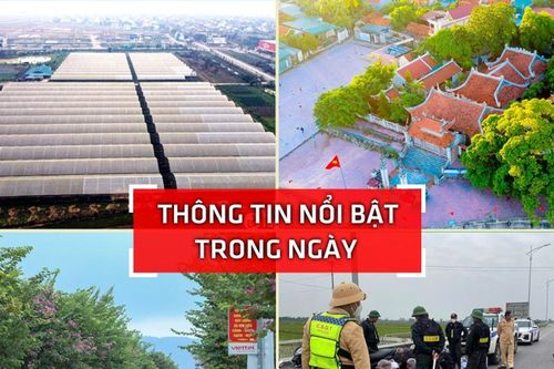 Nghệ An: Thông tin nổi bật ngày 30/1
