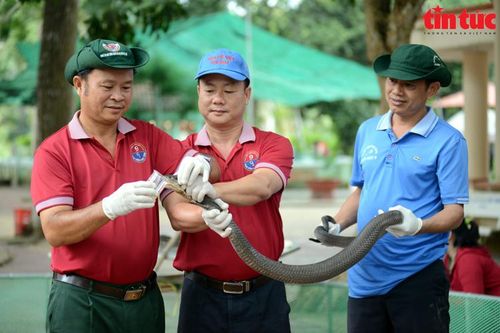 Khám phá trại rắn lớn nhất Việt Nam