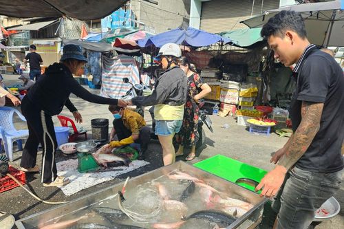TP Hồ Chí Minh: Chợ, siêu thị mở cửa trở lại, giá thực phẩm tươi sống tăng nhẹ