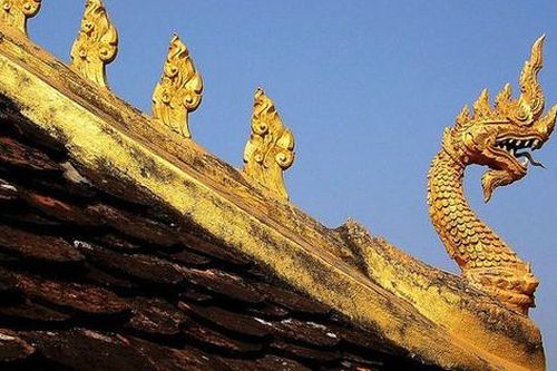 Hình tượng rắn trong văn hóa dân gian