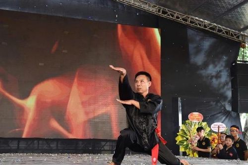 Tuyệt kỹ Xà quyền trong môn phái Bình Định Gia
