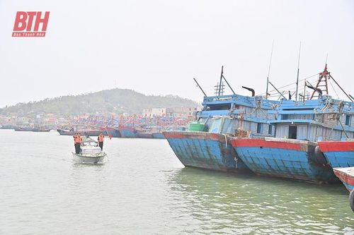 Tổ quốc nhìn từ biển: Lấp lánh 'sao xanh'