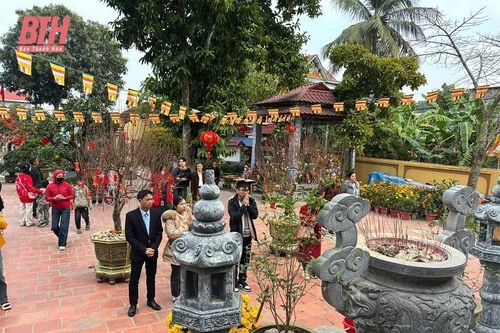 Du xuân vãn cảnh đầu năm