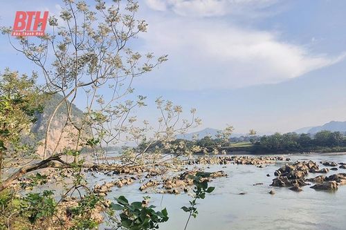 Nhen lửa đêm đào nở...