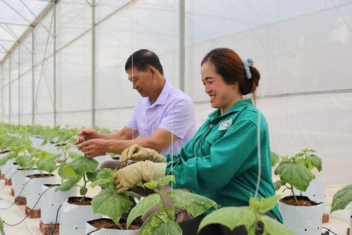 Xây dựng nông thôn mới vùng đất khát