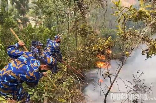 Cán bộ, chiến sĩ Lữ đoàn 679 xuyên đêm chữa cháy rừng