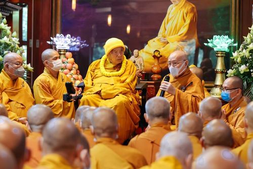 Xuân trong cửa Thiền