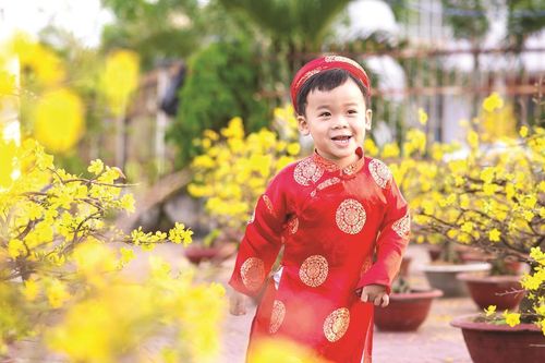 Lòng đang Tết