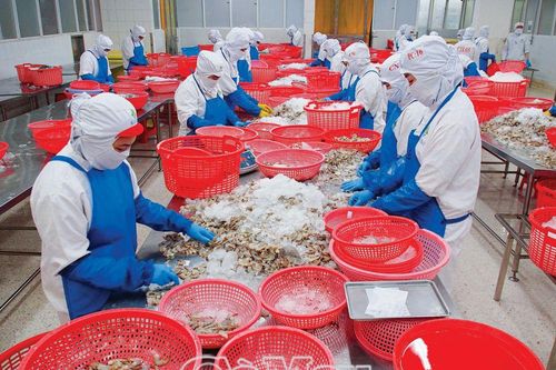 Vững vị thế con tôm Cà Mau