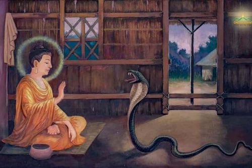 Tết năm Tỵ, nghĩ về hình tượng con rắn trong đạo Phật