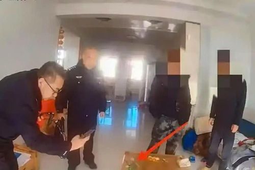 Bị bố mắng, cậu bé Trung Quốc báo cảnh sát bố tàng trữ cây anh túc