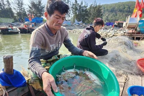 Hà Tĩnh: ngư dân nô nức vươn khơi đón lộc biển