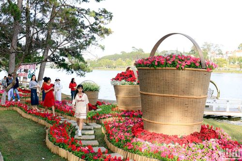 Du xuân trong nắng lạnh Đà Lạt