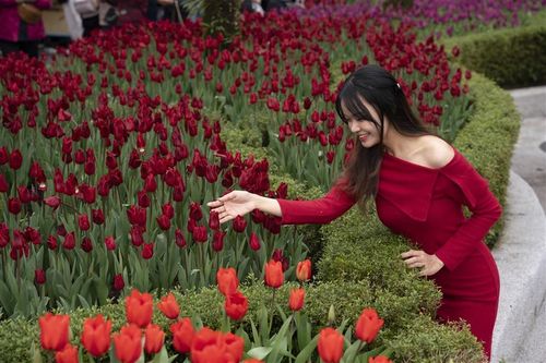 Hàng nghìn du khách đến du xuân tại Sun World Ba Na Hills dịp đầu năm mới 2025
