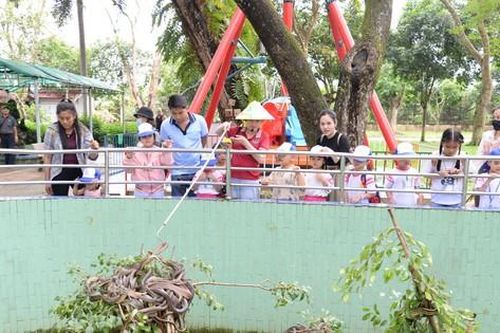Đến 'vương quốc rắn' xem lấy nọc độc cứu người