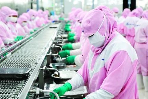 Làm gì để kinh tế Việt Nam cất cánh?