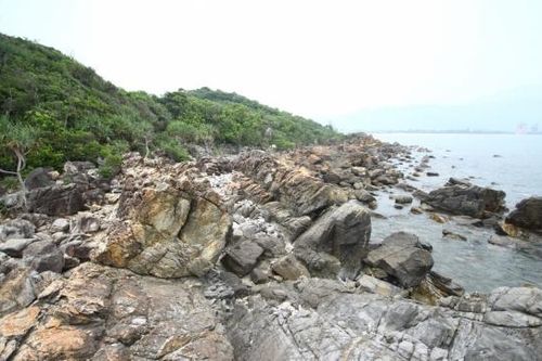 Những huyền sử về khu rừng thiêng 'không ai dám chặt phá' ở Đà Nẵng