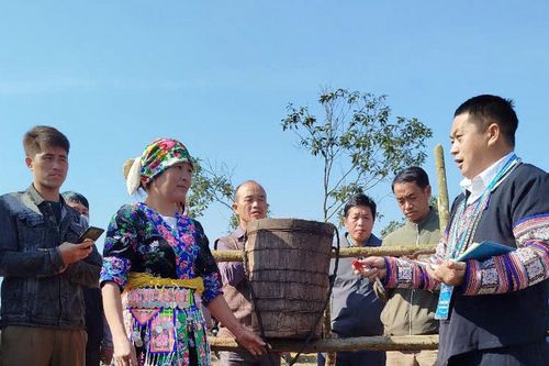 Đặc sắc lễ hội đầu Xuân của đồng bào Mông miền Tây Nghệ An