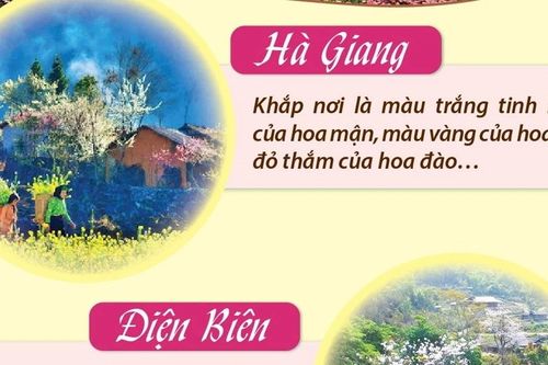 Những điểm đến hấp dẫn cho hành trình du xuân ngắm hoa nở
