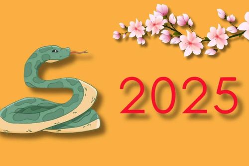 Điểm lại những năm Tỵ đáng nhớ trong lịch sử Việt Nam