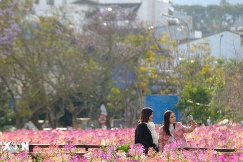 Đà Lạt tấp nập khách du Xuân ngày mùng 3 Tết