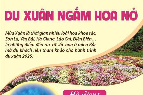 Du xuân ngắm hoa nở