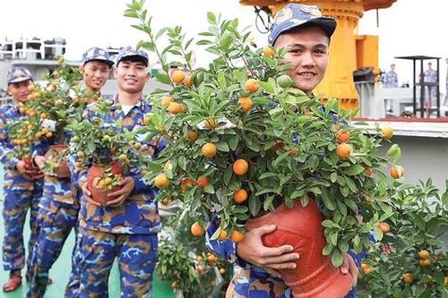 Tết ở đảo nặng sâu nghĩa tình