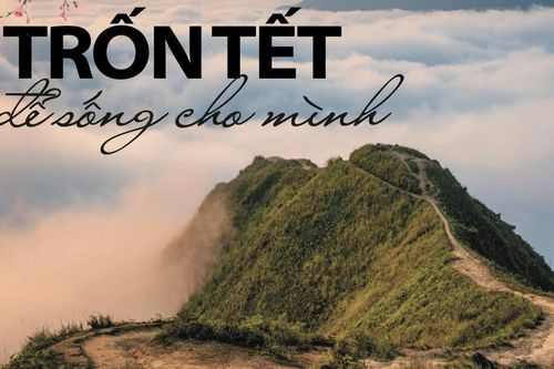 Trốn Tết để sống cho mình