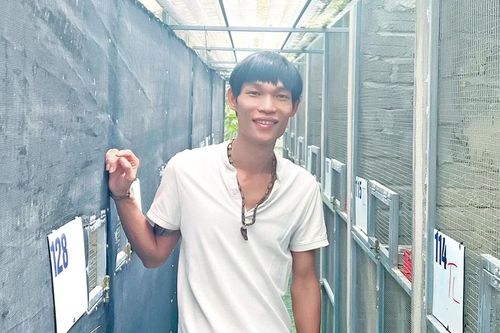 'Vua' chim màu Tây Nguyên