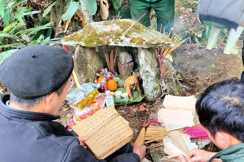 Lễ cúng rừng đầu năm mới của người Dao đỏ thôn Sải Duần