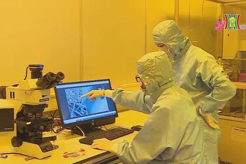 Huy động nhà khoa học Việt Nam đóng góp cho đất nước