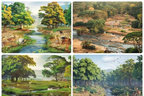 Hai triệu cây xanh và hành trình 'tái sinh, chuyển kiếp'