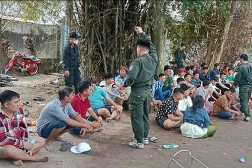 Triệt phá trường gà và lắc tài xỉu quy mô lớn, bắt giữ hơn 70 đối tượng