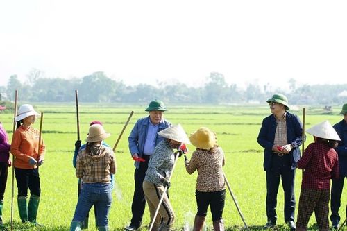 Quyền Chủ tịch UBND tỉnh Quảng Trị xuống ruộng mừng tuổi nông dân