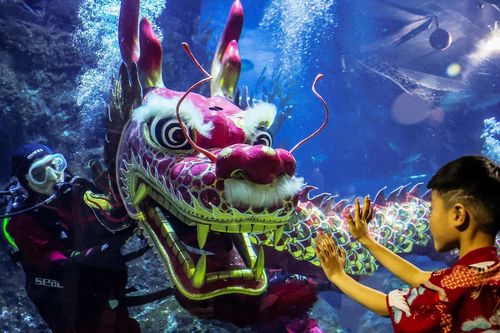 Ảnh Tết Nguyên đán đẹp rực rỡ khắp châu Á