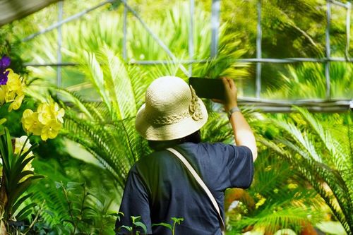 Nỗ lực phát triển du lịch bền vững của 'viên ngọc quý' miền Bắc Thái Lan