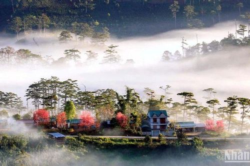 Đà Lạt sẽ là đô thị xanh