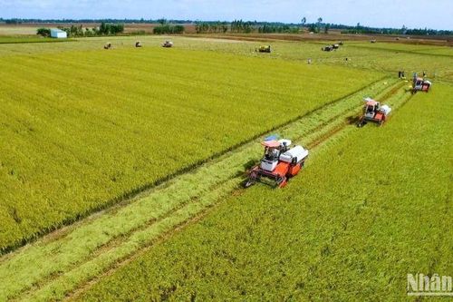 Đưa Cần Thơ trở thành động lực của 'đất chín rồng'