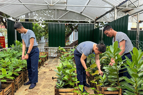 'Xanh hóa Trường Sa'