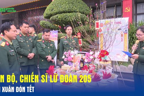 Cán bộ, chiến sĩ Lữ đoàn 205 vui Xuân đón Tết