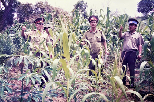 Miền ký ức không quên