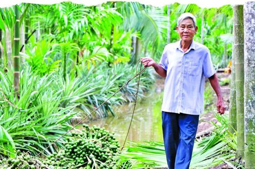 Những tỷ phú chân đất