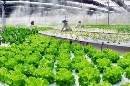 Sau gần 40 năm đổi mới, chúng ta chuyển mình để bước vào kỷ nguyên mới