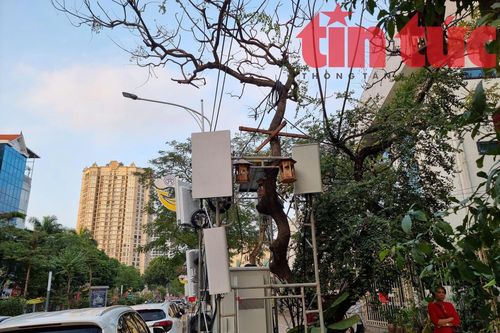 Mạng viễn thông dịp Tết Nguyên đán 2025 ổn định