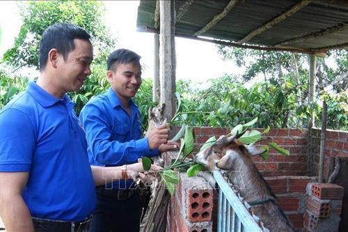 Trưởng thôn 9x cùng người dân xây dựng làng dân tộc thiểu số kiểu mẫu
