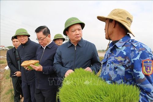 Động viên nông dân sản xuất nông nghiệp đầu năm mới