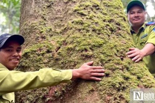 'Kho báu' độc nhất vô nhị giữa đại ngàn Tây Nguyên