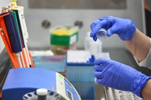 Nga phát triển công nghệ tạo ra thực phẩm thông minh