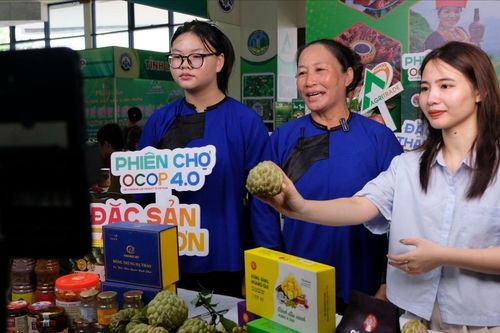 Lạng Sơn: Tạo không gian số rộng lớn kết nối người dân, doanh nghiệp