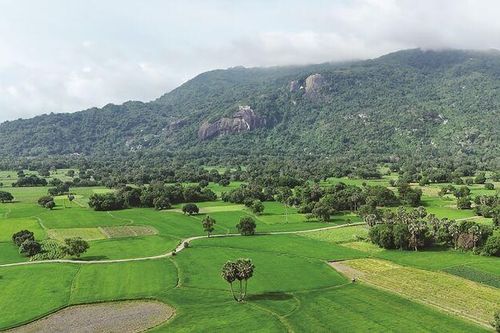 Đánh thức lợi thế du lịch Tri Tôn